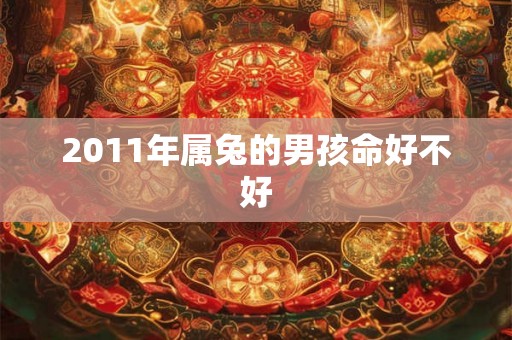 2011年属兔的男孩命好不好 2011年属兔的男孩命好不好