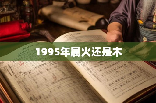 1995年属火还是木