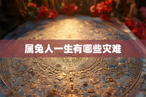属兔人一生有哪些灾难 属兔人一生有哪些灾难