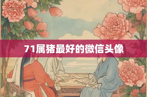 71属猪最好的微信头像