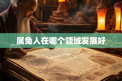 属兔人在哪个领域发展好 属兔人在哪个领域发展好