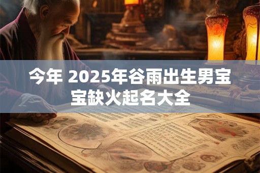 今年 2025年谷雨出生男宝宝缺火起名大全 今年 2025年谷雨出生男宝宝缺火起名大全