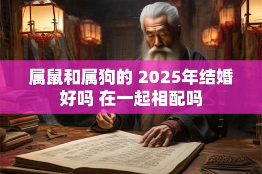 属鼠和属狗的 2025年结婚好吗 在一起相配吗 属鼠和属狗的 2025年结婚好吗 在一起相配吗