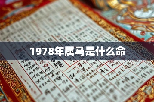 1978年属马是什么命 1978年属马是什么命