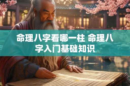 命理八字看哪一柱 命理八字入门基础知识
