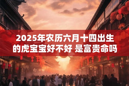 2025年农历六月十四出生的虎宝宝好不好 是富贵命吗 2025年农历六月十四出生的虎宝宝好不好 是富贵命吗