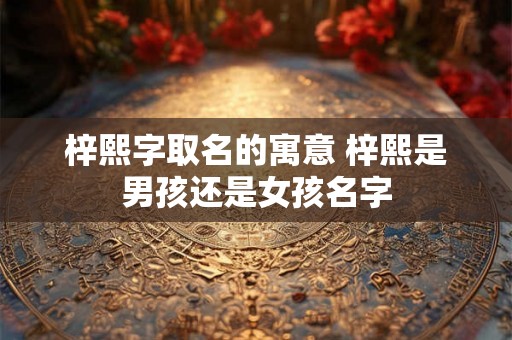 梓熙字取名的寓意 梓熙是男孩还是女孩名字 梓熙字取名的寓意 梓熙是男孩还是女孩名字