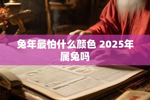 兔年最怕什么颜色 2025年属兔吗