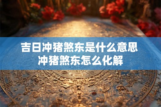 吉日冲猪煞东是什么意思 冲猪煞东怎么化解 吉日冲猪煞东是什么意思 冲猪煞东怎么化解