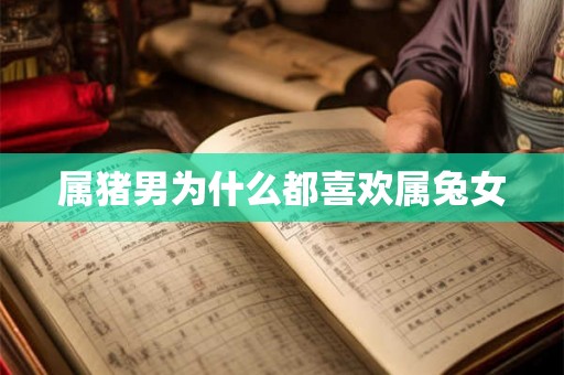 属猪男为什么都喜欢属兔女