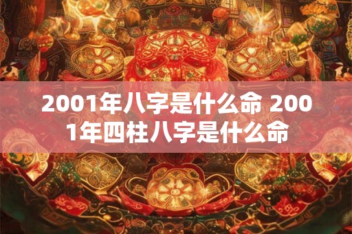 2001年八字是什么命 2001年四柱八字是什么命