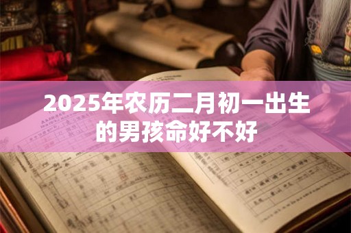 2025年农历二月初一出生的男孩命好不好