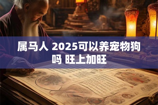 属马人 2025可以养宠物狗吗 旺上加旺 属马人 2025可以养宠物狗吗 旺上加旺
