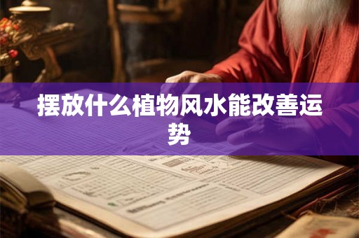 摆放什么植物风水能改善运势