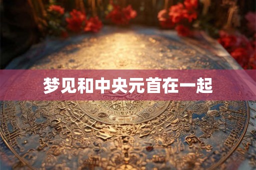 梦见和中央元首在一起