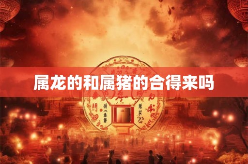 属龙的和属猪的合得来吗 属龙的和属猪的合得来吗