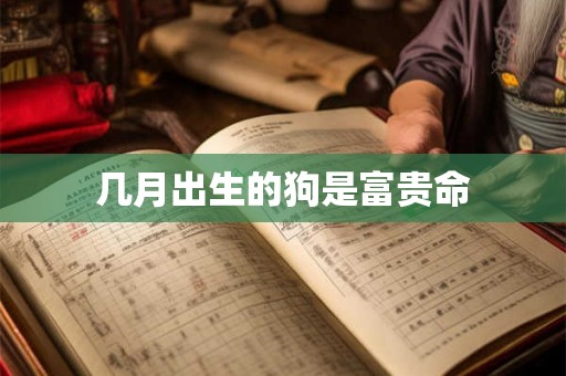 几月出生的狗是富贵命