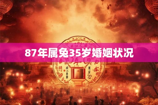 87年属兔35岁婚姻状况 87年属兔35岁婚姻状况