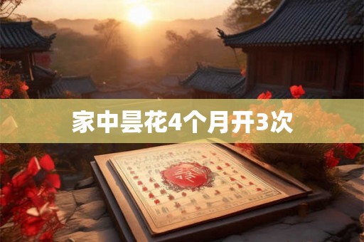家中昙花4个月开3次 家中昙花4个月开3次