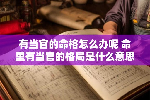 有当官的命格怎么办呢 命里有当官的格局是什么意思 有当官的命格怎么办呢 命里有当官的格局是什么意思