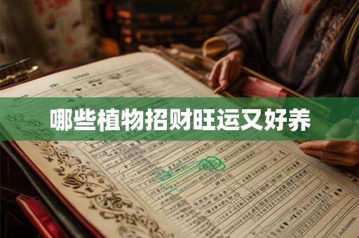 哪些植物招财旺运又好养