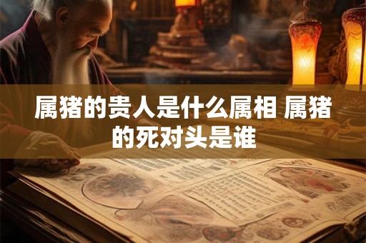 属猪的贵人是什么属相 属猪的死对头是谁