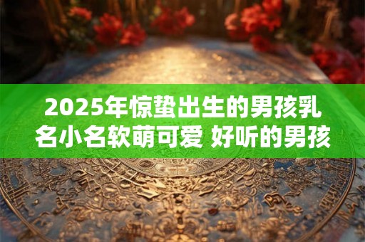 2025年惊蛰出生的男孩乳名小名软萌可爱 好听的男孩名字小名英文 2025年惊蛰出生的男孩乳名小名软萌可爱 好听的男孩名字小名英文