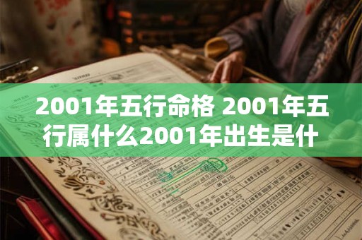 2001年五行命格 2001年五行属什么2001年出生是什么命 2001年五行命格 2001年五行属什么2001年出生是什么命