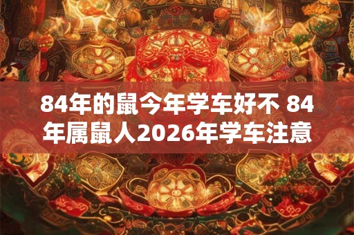 84年的鼠今年学车好不 84年属鼠人2026年学车注意事项 84年的鼠今年学车好不 84年属鼠人2026年学车注意事项