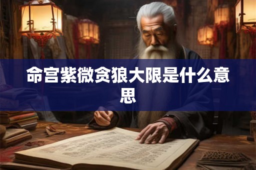 命宫紫微贪狼大限是什么意思