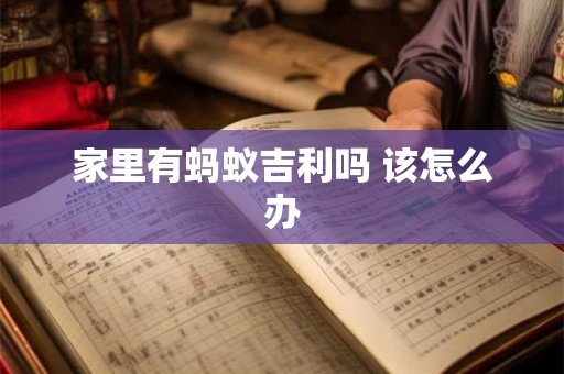 家里有蚂蚁吉利吗 该怎么办 家里有蚂蚁吉利吗 该怎么办