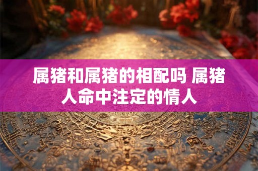 属猪和属猪的相配吗 属猪人命中注定的情人 属猪和属猪的相配吗 属猪人命中注定的情人