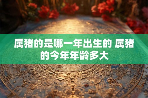属猪的是哪一年出生的 属猪的今年年龄多大 属猪的是哪一年出生的 属猪的今年年龄多大