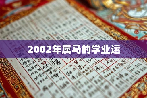 2002年属马的学业运