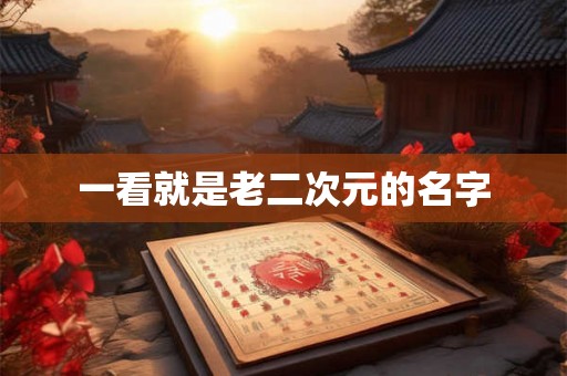 一看就是老二次元的名字 一看就是老二次元的名字