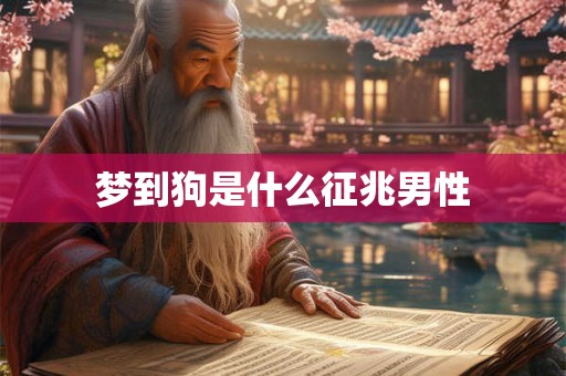 梦到狗是什么征兆男性