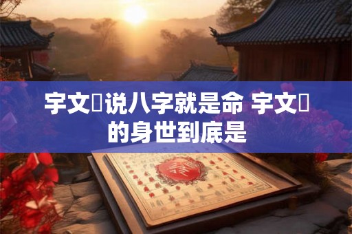 宇文玥说八字就是命 宇文玥的身世到底是 宇文玥说八字就是命 宇文玥的身世到底是