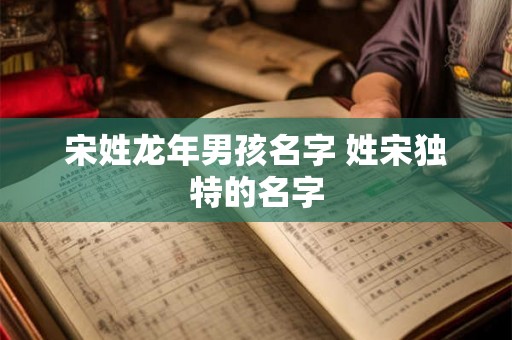 宋姓龙年男孩名字 姓宋独特的名字 宋姓龙年男孩名字 姓宋独特的名字