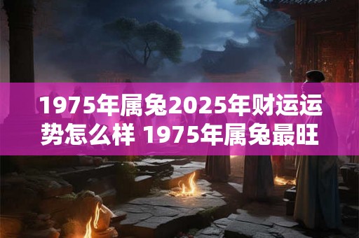 1975年属兔2025年财运运势怎么样 1975年属兔最旺财4个数字 1975年属兔2025年财运运势怎么样 1975年属兔最旺财4个数字