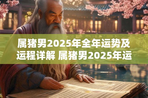 属猪男2025年全年运势及运程详解 属猪男2025年运势如何 属猪男2025年全年运势及运程详解 属猪男2025年运势如何