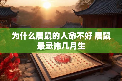 为什么属鼠的人命不好 属鼠最忌讳几月生