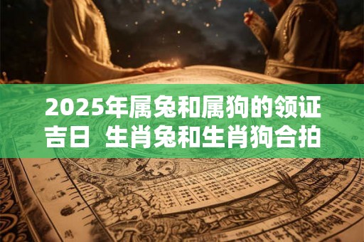 2025年属兔和属狗的领证吉日 生肖兔和生肖狗合拍不 2025年属兔和属狗的领证吉日 生肖兔和生肖狗合拍不