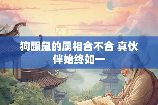 狗跟鼠的属相合不合 真伙伴始终如一 狗跟鼠的属相合不合 真伙伴始终如一