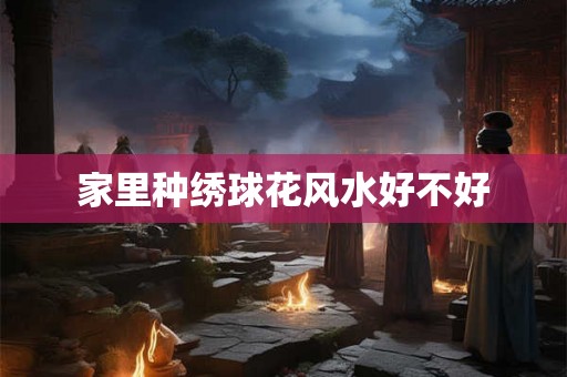 家里种绣球花风水好不好 家里种绣球花风水好不好