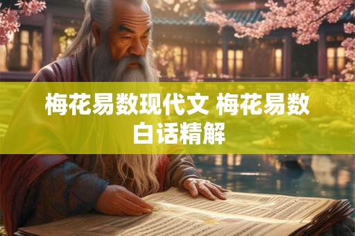 梅花易数现代文 梅花易数白话精解 梅花易数现代文 梅花易数白话精解