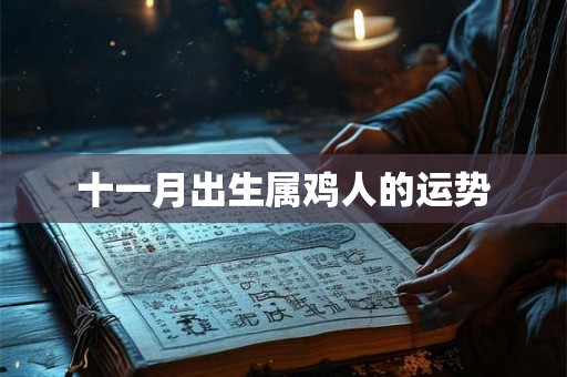 十一月出生属鸡人的运势 十一月出生属鸡人的运势