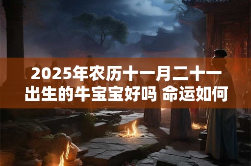 2025年农历十一月二十一出生的牛宝宝好吗 命运如何