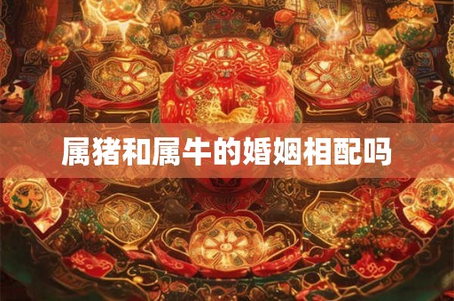 属猪和属牛的婚姻相配吗 属猪和属牛的婚姻相配吗