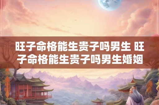 旺子命格能生贵子吗男生 旺子命格能生贵子吗男生婚姻 旺子命格能生贵子吗男生 旺子命格能生贵子吗男生婚姻
