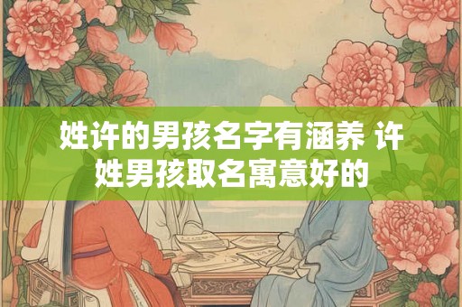 姓许的男孩名字有涵养 许姓男孩取名寓意好的